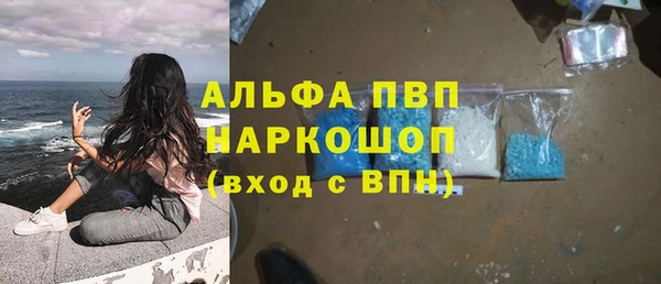 индика Шали