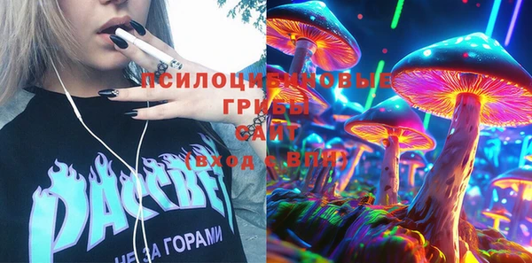 СК Шарыпово