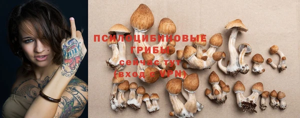 СК Шарыпово