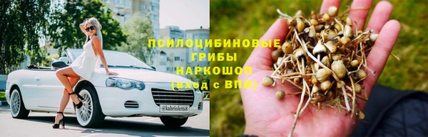 индика Шали