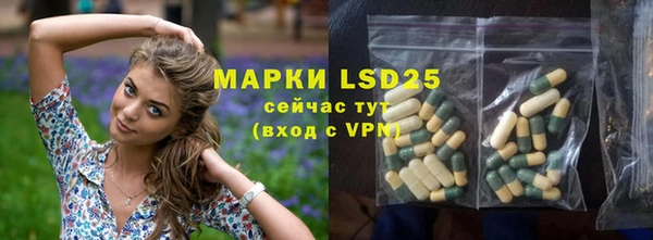 индика Шали