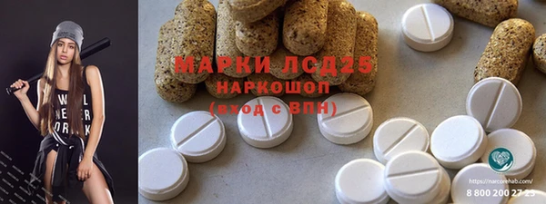индика Шали