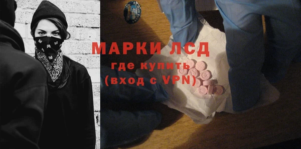 индика Шали